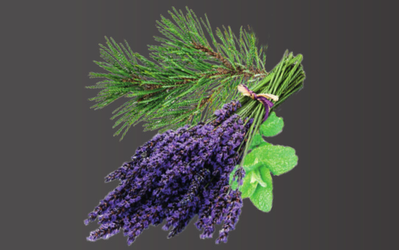 Saunaduft Kräutermischung