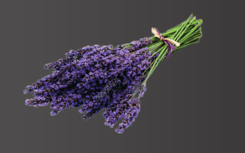 Saunaduft Lavendel