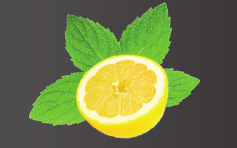 Saunaduft Minze-Zitrone